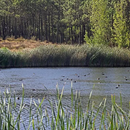 Audiencia 145 Сasa de vacaciones